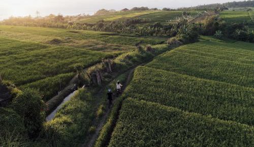 One-Bedroom Pool Villa with Ocean View and Free Shuttle to Canggu