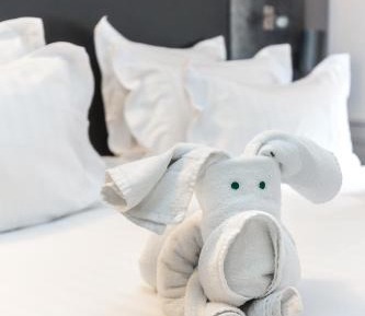 Superior Double Room with Wellness Access