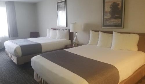 Mini Suite 2 Queen Beds