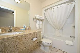 King Room - Non Smoking/Pet Friendly