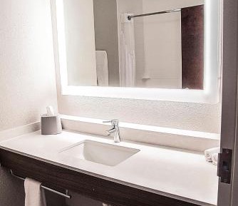 Standard King Room with Roll-in Shower - Mobility Accessible