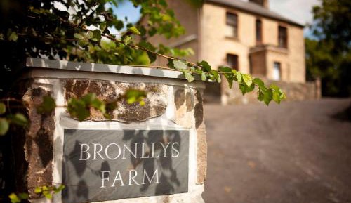 Deluxe Bungalow with Sea View / Bluebell Cottage