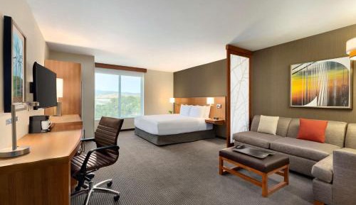 King Suite with Sofa Bed and Roll-In Shower - Disability Access