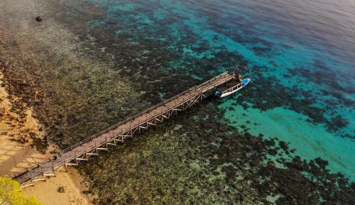 Jungle Lanai Cottage with Free Snorkeling at House Reef 