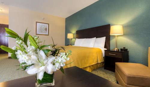 King Room - Non-Smoking