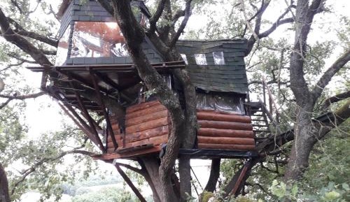 Treehouse with Mountain View