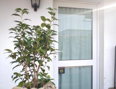 Double or Twin Room with Garden View