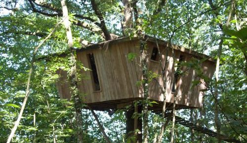 Tree House with Terrace (4 Adults)