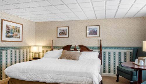 Queen Room - Pet Friendly