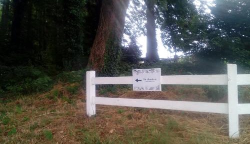 Superior Family Room