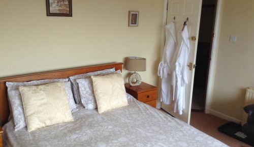 King Room with Roll-In Shower - Disability Access