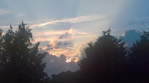 Double or Twin Room with Garden View