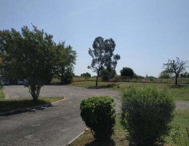 Family Room (3 Adults)