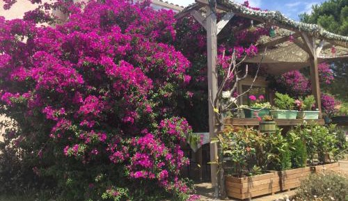 Double Room with Pool View