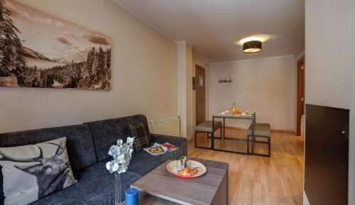 One-Bedroom Apartment (2-4 Adults) 