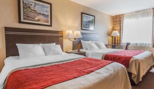 Queen Room with Two Queen Beds - Non-Smoking