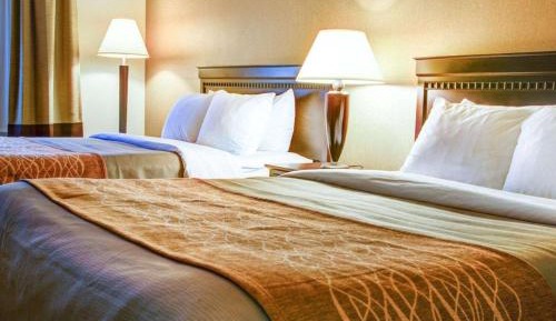 Queen Room with Two Queen Beds - Non-Smoking