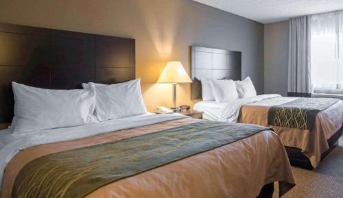 Queen Room with Two Queen Beds - Non-Smoking