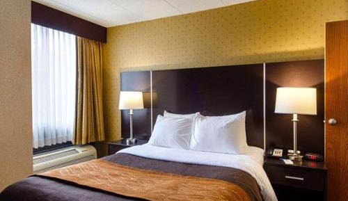 Standard King Room