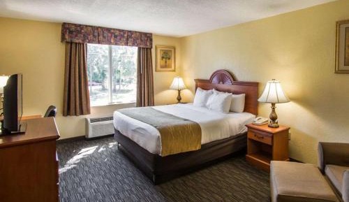 Standard King Room - Non-Smoking 