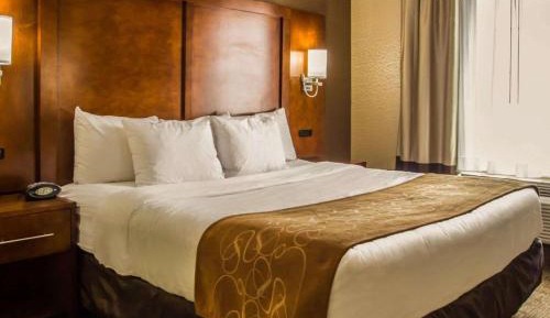 Executive King Suite