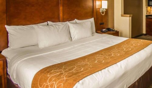 Efficiency King Suite with Kitchenette 