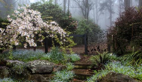 Deluxe Double Studio