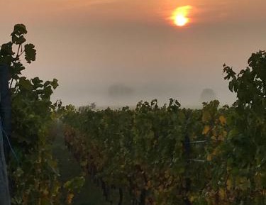 One-Bedroom Apartment with Balcony