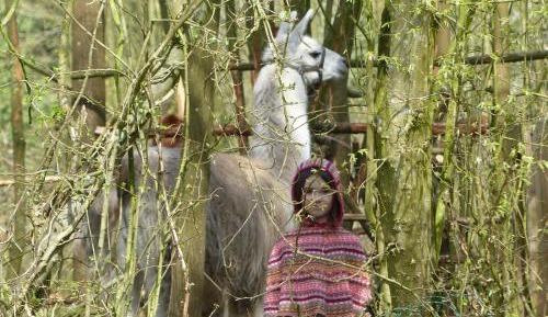 Two Adjacent Caravans