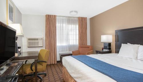 King Room - Non-Smoking