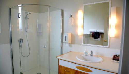 Standard One-Bedroom Apartment