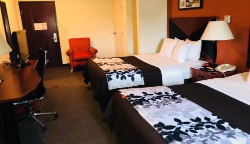 Double Room with Two Double Beds - Non-Smoking