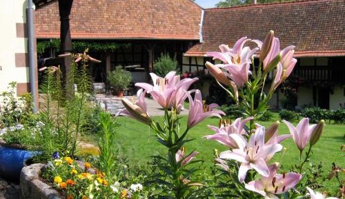 Apartment with Pool View 