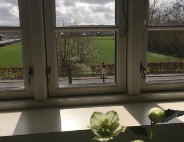 Family Room with Shared Bathroom (2 Adults + 2 Children)