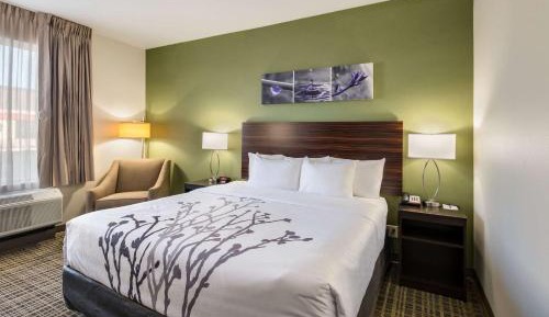 King Room - Accessible/Non-Smoking