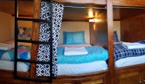 Bed in 10-Bed Mixed Dormitory Room