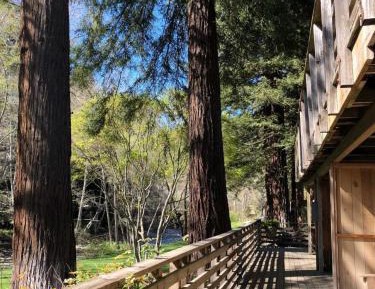 Suite with River View