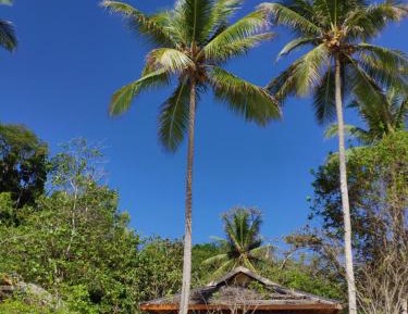 Bungalow - Beach Front