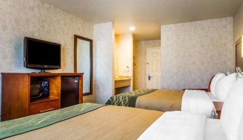 Queen Room with Two Queen Beds - Non-Smoking