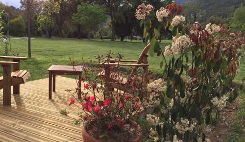 Double Room with Terrace