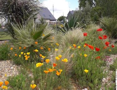 Family Suite - No pool access