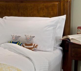 Deluxe King Suite