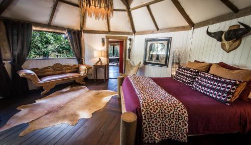 Superior Suite