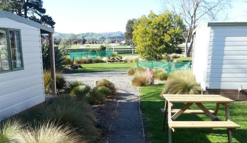 Queen Cabin with Shared Bathroom