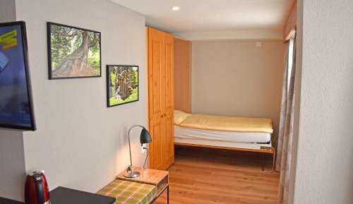 Family Suite forest side