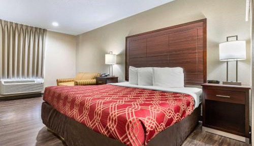 King Room - Non-Smoking