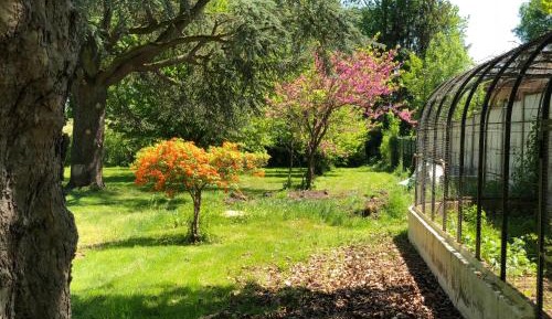 Double Room with Terrace