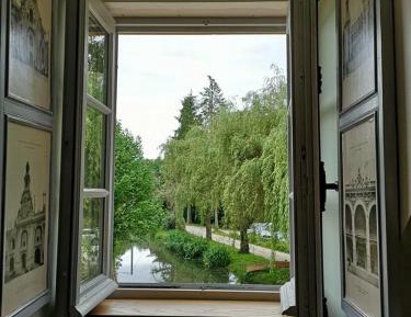 King Room with Garden View