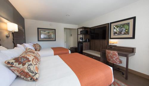 Deluxe Double Room with Two Double Beds - Non-Smoking