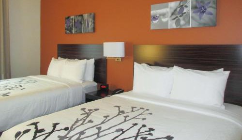 Queen Room with Two Queen Beds - Non-Smoking